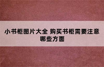 小书柜图片大全 购买书柜需要注意哪些方面